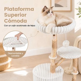 Arranhador para Gatos, 56 x 41 x 105 cm, Tronco de Madeira de Pereira, Bege