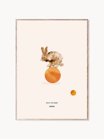 Póster Rocky the Rabbit