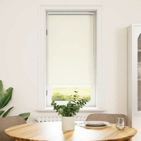 Estore de rolo 60 x 120 cm, Branco escuro