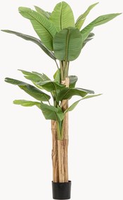 Planta artificial Baa