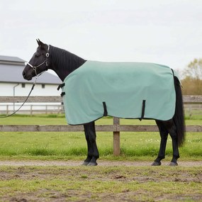 vidaXL Cobertor de Cavalo Verde especial Poliéster