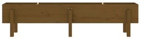 Canteiro elevado jardim 160x30x38 cm pinho maciço castanho-mel