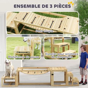 Equipamentos de treino de agilidade para cães - Conjunto de 3 peças de equipamento de agilidade para cães em madeira maciça natural