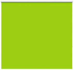 vidaXL Persiana de enrolar 150x150 cm largura tecido 146,6cm poliéster
