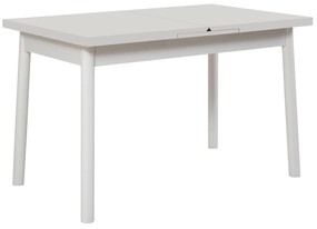 Conjunto de Mesa e Cadeiras Oliver – Branco – Mesa: 120x75x75 cm, Cade