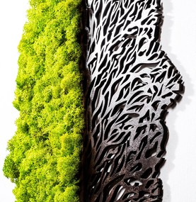 Acessório Decorativo de Parede Green And Dry – Verde e Castanho – 45 x