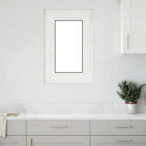 vidaXL Janela de porão "RISOR" 50x75 cm oscilobatente DIN direita branca