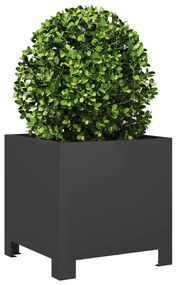 Vaso/floreira de jardim 2 pcs 30x30x30 cm aço preto