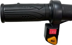 Triciclo eléctrico Crianças Drift Trike 250W 36V litio Preto Carbono