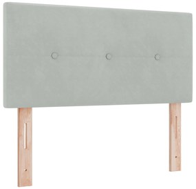 Cama Box com Colchão vidaXL Cinza Claro Dobro Pequeno Veludo