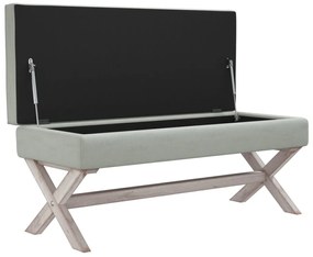 Banco de arrumação 110x45x49 cm veludo cinzento-claro