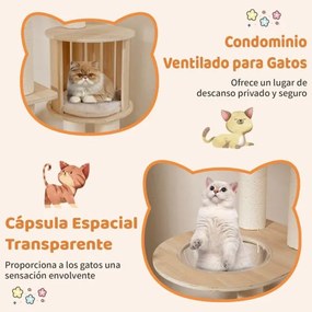 Arranhador para gatos de madeira 185 CM com Postes para arranhar Escada Suporte para trepar Natural