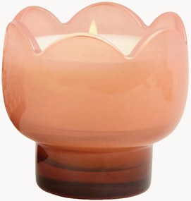 Vela perfumada em vidro Tulip (flor de cato)