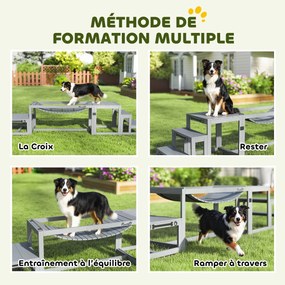 Equipamentos de treino de agilidade para cães – conjunto de 3 peças de equipamento de agilidade para cães em madeira maciça cinzenta