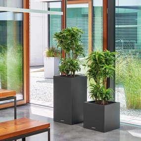 LECHUZA Vaso/floreira CANTO Stone 40 High ALL-IN-ONE preto grafite