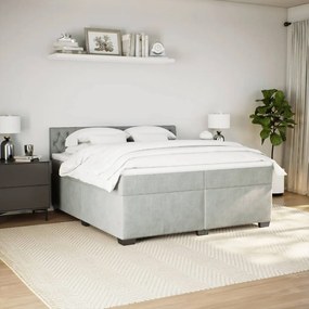 Cama com molas/colchão 200x200 cm veludo cinzento-claro