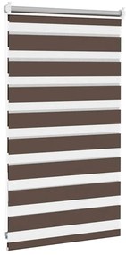 Estore de rolo 50 x 100 cm, linhas de zebra / Café