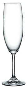 Copo Lara Flute 22CL 6.6X22.5CM