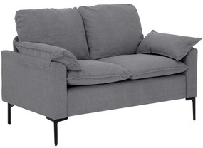 Sofá de 2 Lugares Revestido em Veludo Sofá Moderno com Pés de Metal Apoios de Braços Acolchoados 130x77x84 cm Cinza