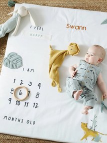 Agora -20% | Tapete cenário de fotografias personalizável, para bebé, Hanói branco claro liso com motivo