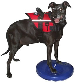 Disco de equilíbrio para animais de estimação 36 cm azul