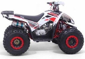 Mini Moto 4 gasolina para crianças automática 125cc Roan Coyote R8 Ecrã digital e com e marcha-atrás Vermelha