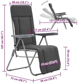 Cadeiras de jardim dobráveis com almofadões 2 pcs cinzento