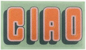 Tapete de entrada lavável Green Ciao