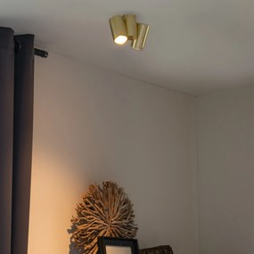 Projetores de teto design latão 2 luzes ajustáveis - Michael