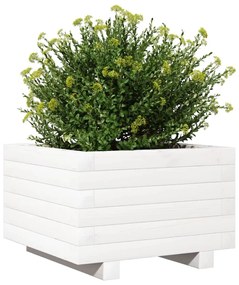 Vaso/floreira de jardim 40x40x26,5 cm pinho maciço branco