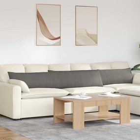vidaXL Travesseiros de Sofá 2 pcs Cinzento-claro 200 x 40 cm