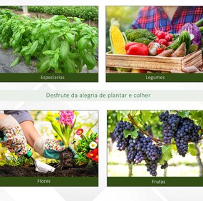 Estufa tipo Túnel 8x3x2m Aço e PE 140 g/m² Estufa para Cultivo de Plan