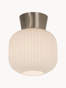 Small Ceiling Spotlight Vanja