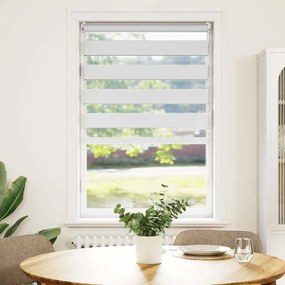 Estore de rolo 70 x 120 cm, linhas de zebra / Branco