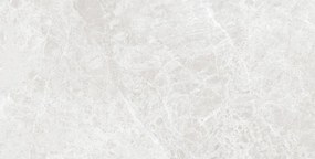 Mexen Lizard Gres prateado esmaltado rekt. G1, ladrilho de piso e parede 120 x 60 cm, brilho - TL109-120-060-03