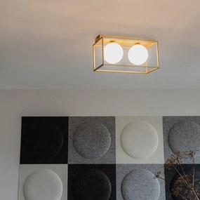 Candeeiro de teto design dourado com vidro branco 2 luzes - Aniek