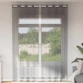 vidaXL Cortinas de voile com ilhós 2 pcs cinzento-escuro 140x300 cm