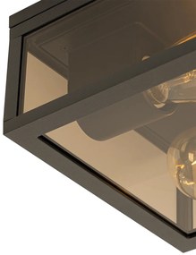 Luminária de teto preta com vidro fumê 2 luzes IP44 - Charlois Moderno