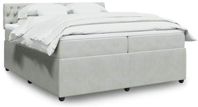 Cama com molas/colchão 200x200 cm veludo cinzento-claro