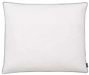 Almofadas 2 pcs enchimento de penugem/penas 70x60 cm branco