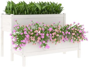 Vaso/floreira 110x84x75 cm pinho maciço branco