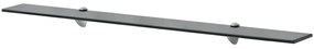 vidaXL Prateleira flutuante vidro 100x20 cm 8 mm