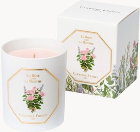 Vela perfumada La Rose Aime La Menthe (floral, fresca, tónica)