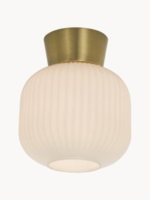 Small Ceiling Spotlight Vanja