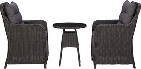 vidaXL Cadeiras de jardim com mesa de centro 2 pcs vime PE preto