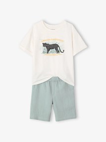 Conjunto de calções + t-shirt para menino   verde-salva