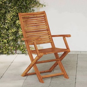 vidaXL Cadeiras jardim dobráveis c/ apoio braços 2 pcs acácia maciça