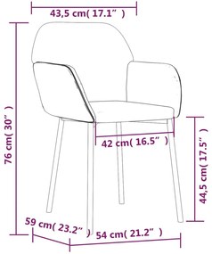 Conjunto de 2 Cadeiras Arkyn em Veludo - Cinzento Claro - Design Moder