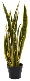 Planta Decorativa DKD Home Decor PVC (20 x 20 x 74 cm)