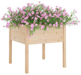 Vaso/floreira de jardim 70x70x70 cm madeira de pinho maciça
